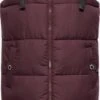 Navahoo Bodywarmers Bodywarmer Dames Bordeaux